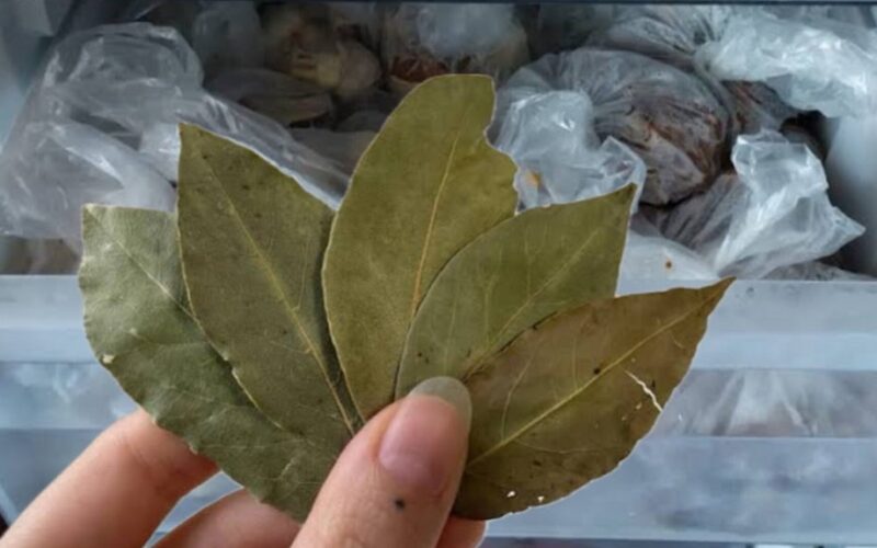 freezer bowl with bayleaves