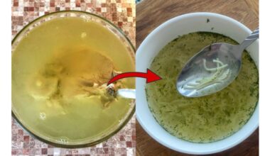 godmother s chefly broth rules