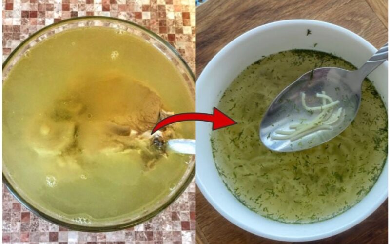 godmother s chefly broth rules