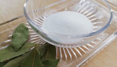 godmother salts bay leaves
