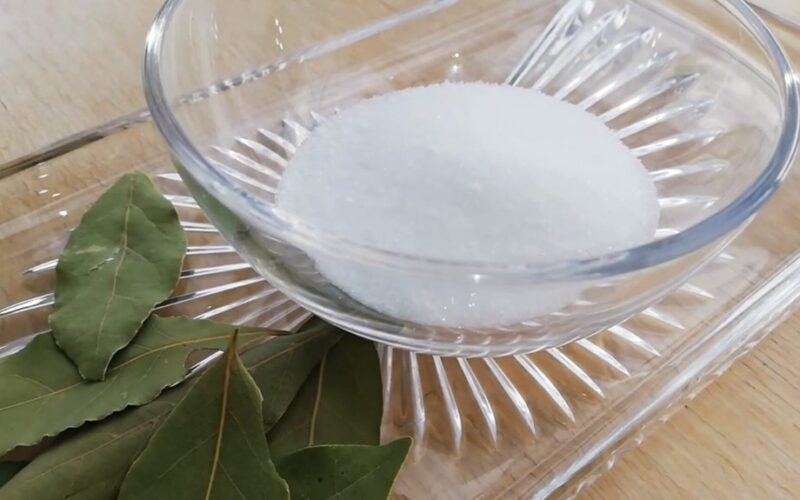 godmother salts bay leaves