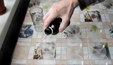 grandma tamara s gardening tip