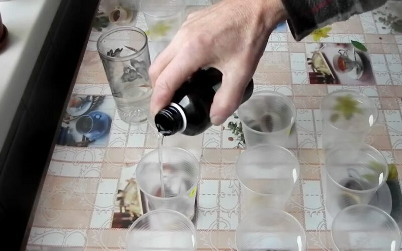 grandma tamara s gardening tip