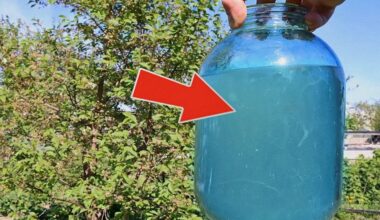 grandpa s watering trick worked