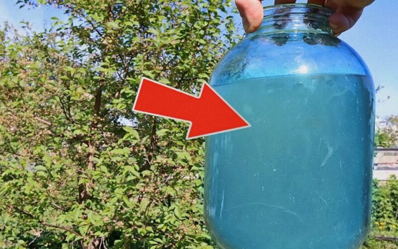 grandpa s watering trick worked