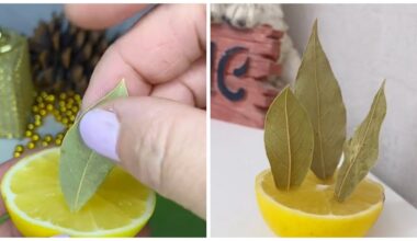 half lemon three bay leaves