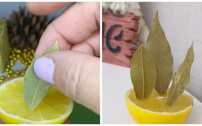 half lemon three bay leaves