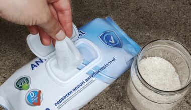 homemade rice wet wipe airfreshener