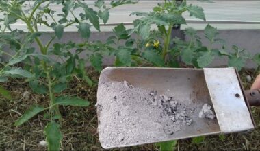 how wood ash enriches soil