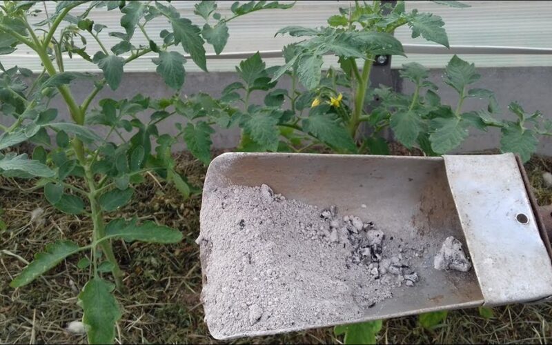 how wood ash enriches soil