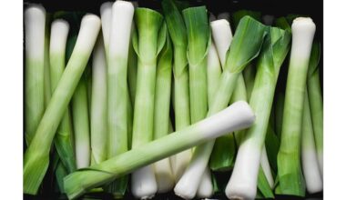 i grow and sell leeks