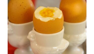 improper egg storage causes spoilage