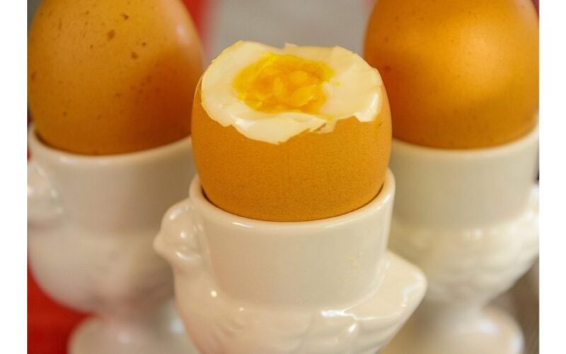 improper egg storage causes spoilage
