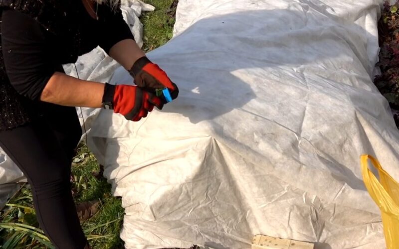 inappropriate plant winter covers