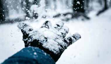 involuntary muscle contractions conserve heat