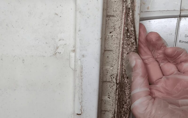 keep gasket spotless with vinegar