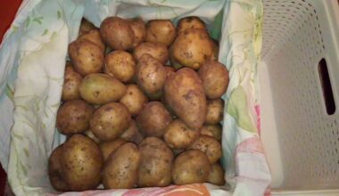 keep potatoes fresh with apple