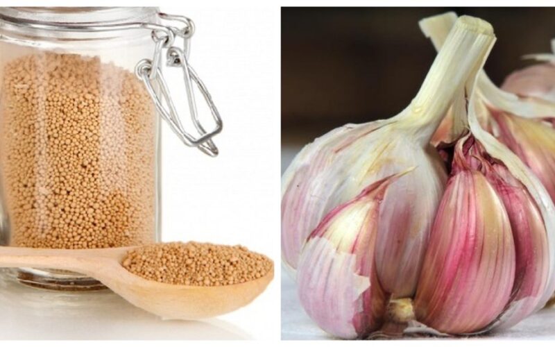 kitchen ingredients boost plants