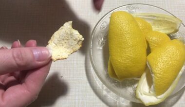 lemon peel vinegar preservative