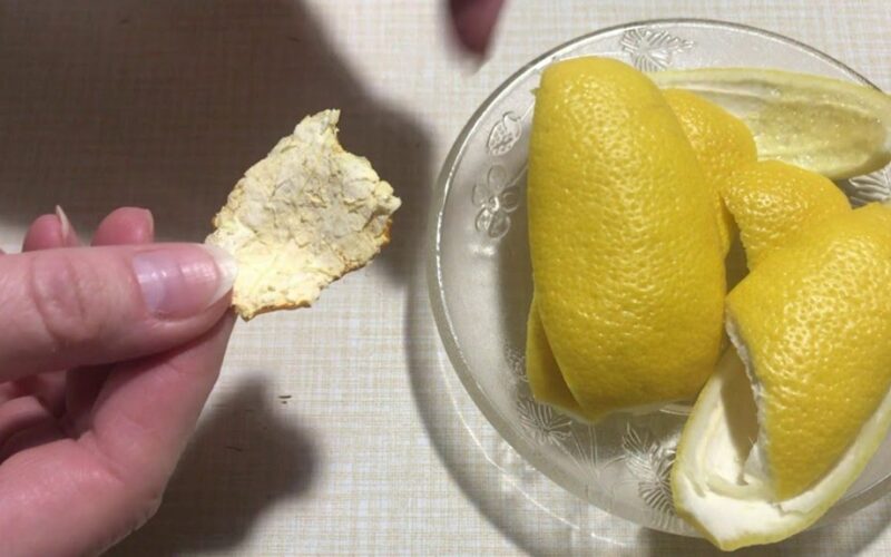 lemon peel vinegar preservative