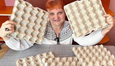 lower egg cartons cellar trick