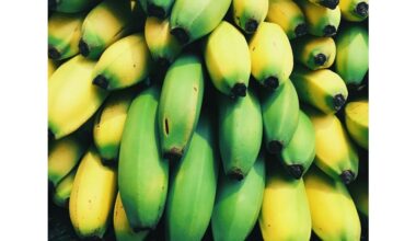 mom s 1994 banana preserving hack