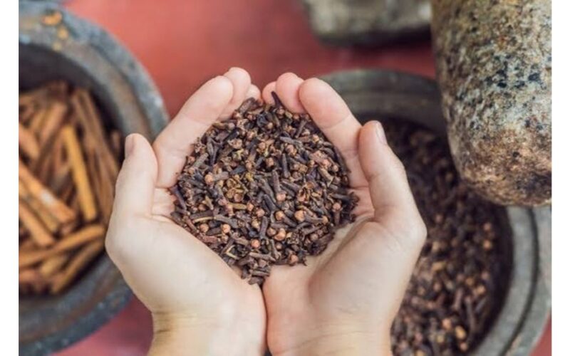 morning cloves boost health