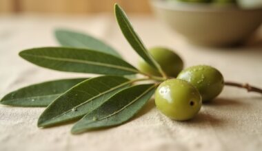 olive leaves lower cholesterol