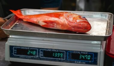 omega 3 fish sabotaging weightloss