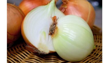 onion as household multitool