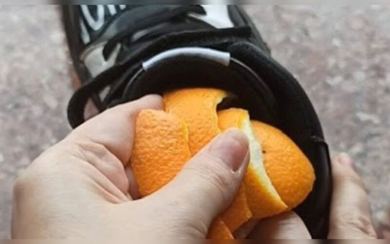 obuolių žievelės batuose