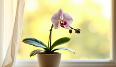 orchid revived within week