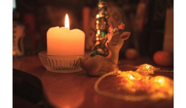 post feast apartment odor cleanup