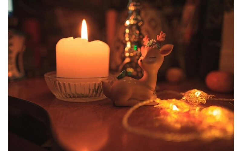 post feast apartment odor cleanup