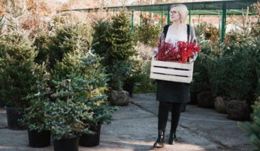 propagating conifer cuttings guide