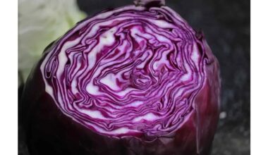 red cabbage ph indicator