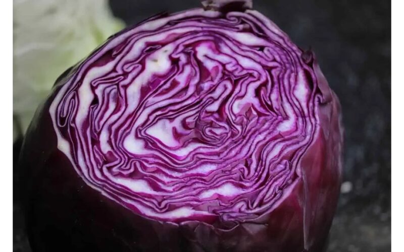 red cabbage ph indicator