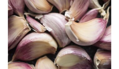 remove garlic odor from hands