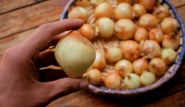 remove onion odor from hands