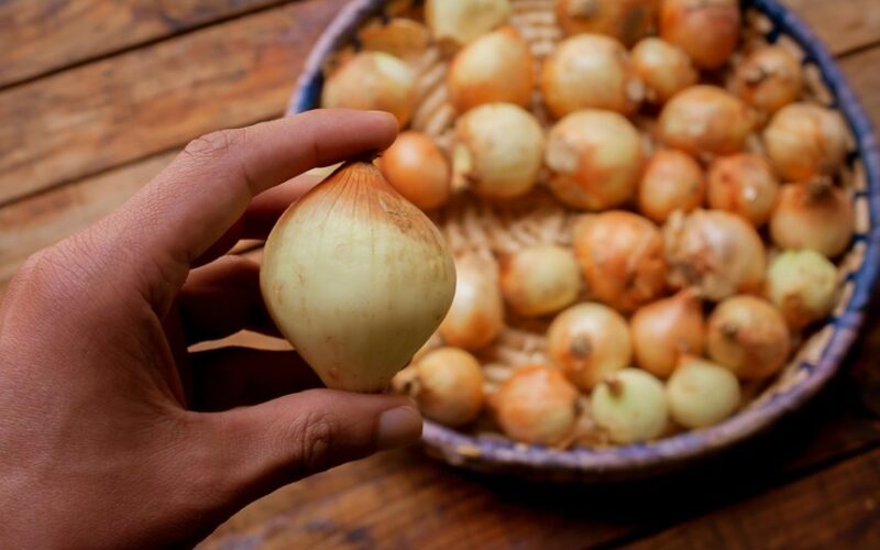 remove onion odor from hands