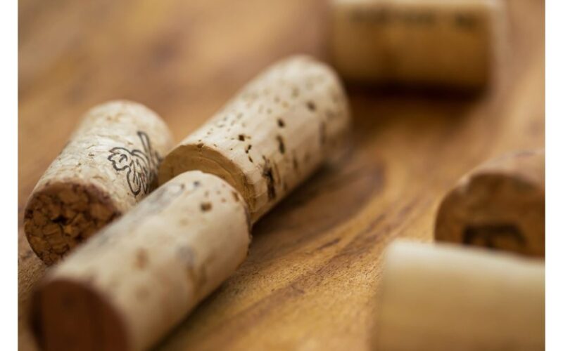 reuse broken terra cotta pots