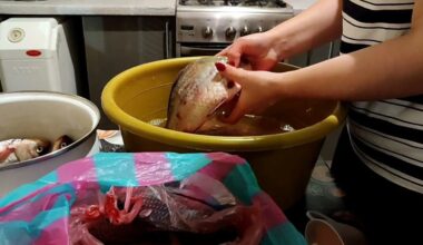 scale fish without mess