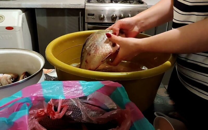 scale fish without mess