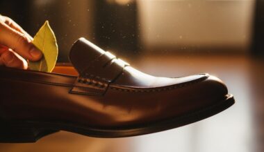 shoe deodorizer with bayleaf