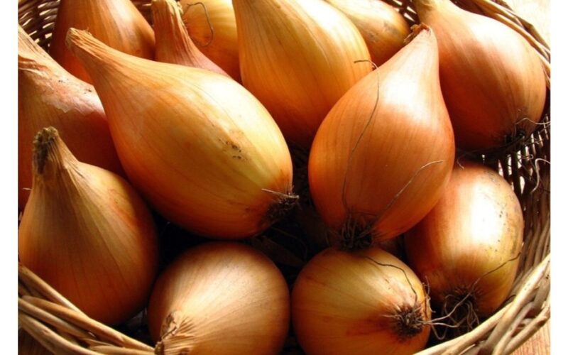 started spraying onions yearly