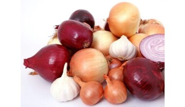 store onions in cool dark places