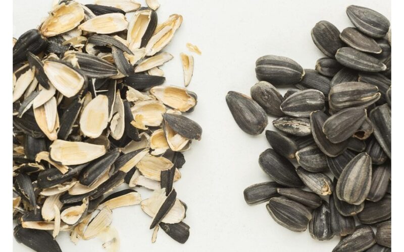 sunflower husk saving grandma hack