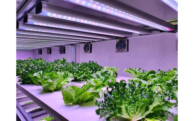 supplemental grow lights required