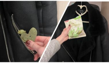 three bay leaves pocketed