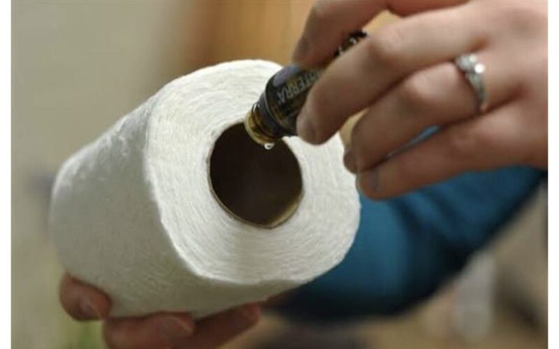 three drops toilet paper tube